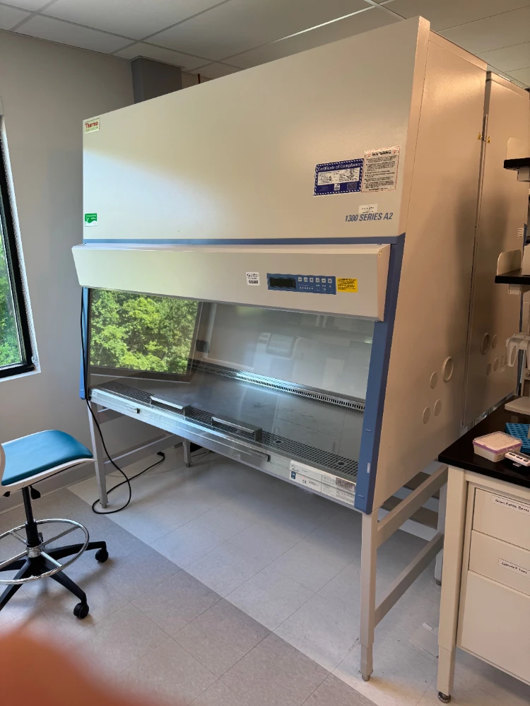 Thermo 1300 Series A2 6' BioSafety Cabinet