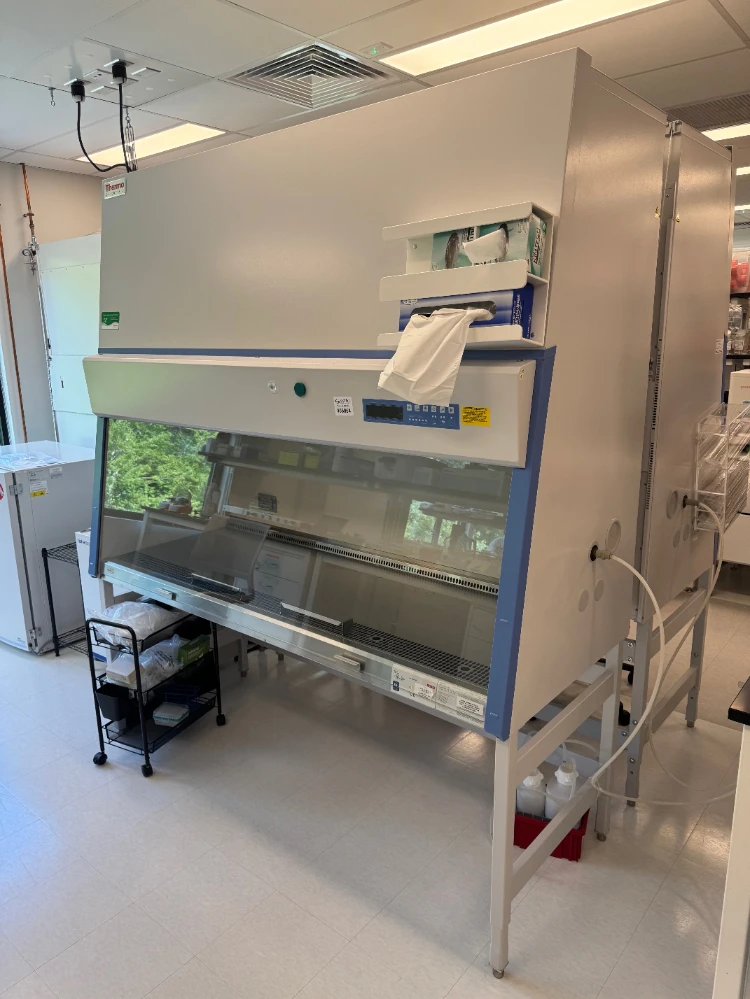 Thermo 1300 Series A2 6' BioSafety Cabinet