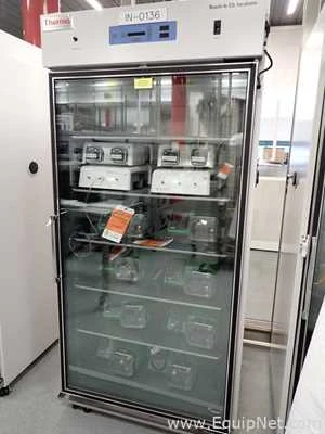 Thermo Scientific 3950 Reach in Co2 Incubator