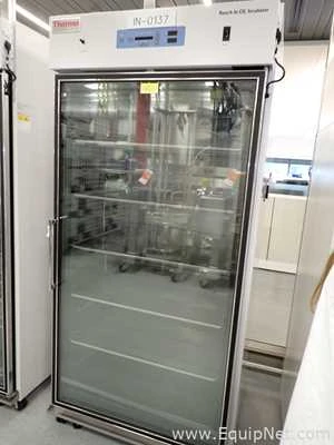Thermo Scientific 3950 Reach in Co2 Incubator