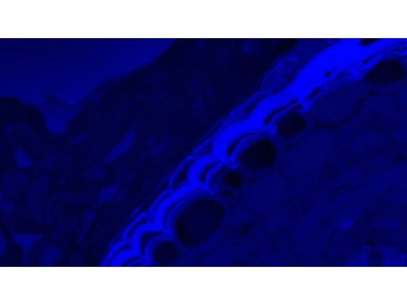 Thumbnail 14