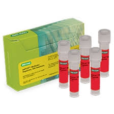 ddPCR Multiplex Supermix, 3 ml (5 x 0.6 ml), 4x supermix, for use in sample preparation for droplet generation in the QX600 / QX200 Droplet Digital PCR Systems,  Part Number 12005910