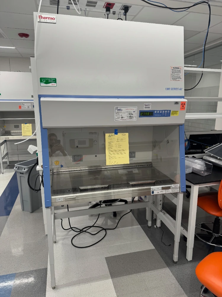 Thermo 1300 Series A2 4' Biosafety Cabinet