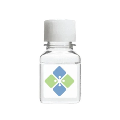 Molecular Depot Human ADK Protein (Highly Pure) B2010867