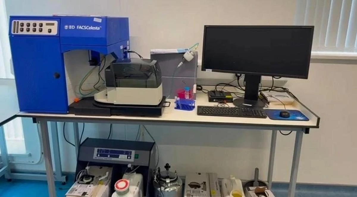 BD FACSCelesta Flow Cytometer