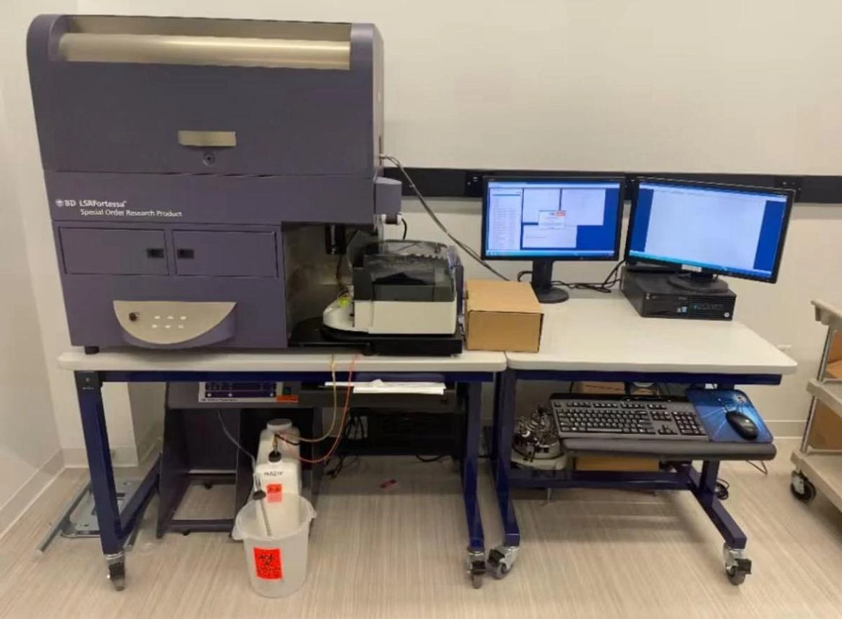 BD Biosciences LSRFortessa SORP Flow Cytometer