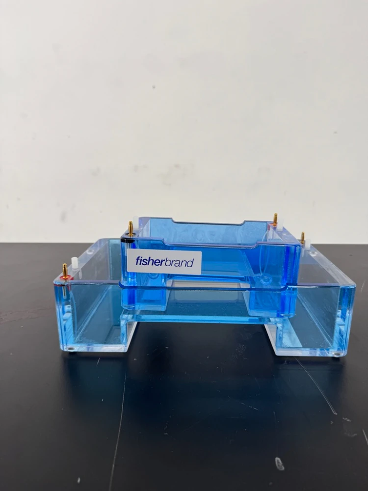 Fisherbrand Gel Boxes