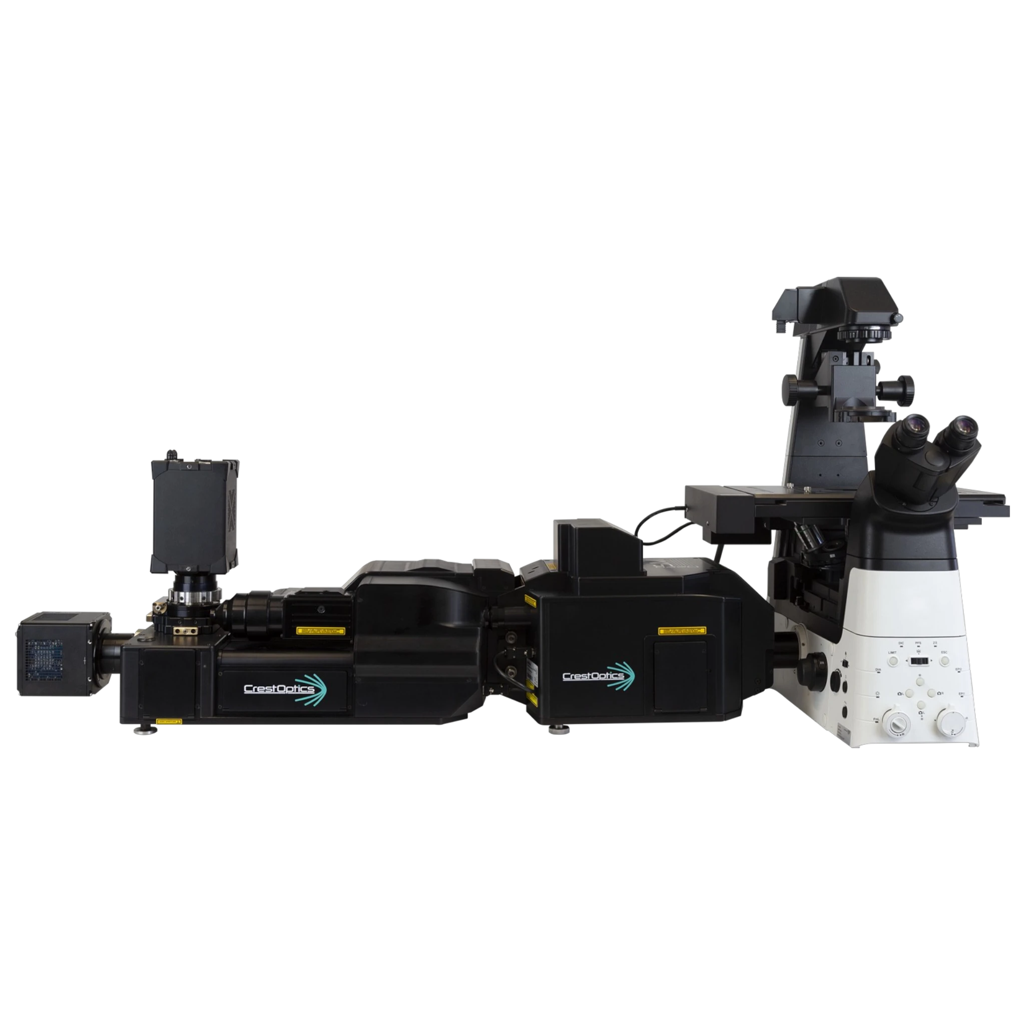 Crest Optics Deep SIM Super Resolution w/ X-light V3 Confocal Confocal ...