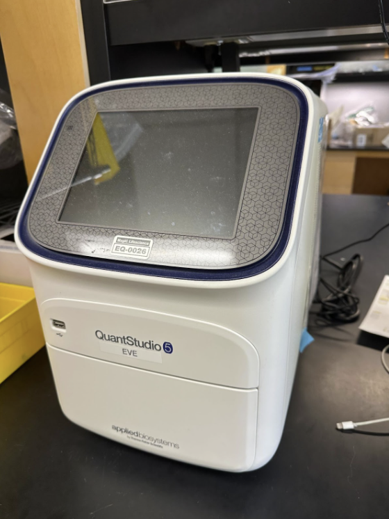 Applied Biosystems Quantstudio 5