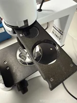 Used Microscopes