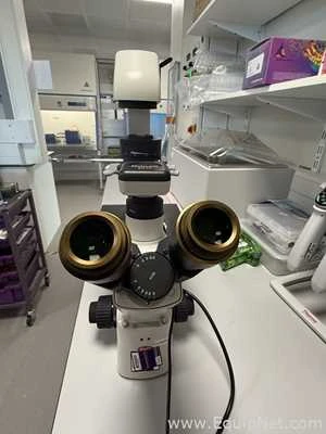 Lot 182 Listing# 867459 Motic AE31E Inverted Microscope