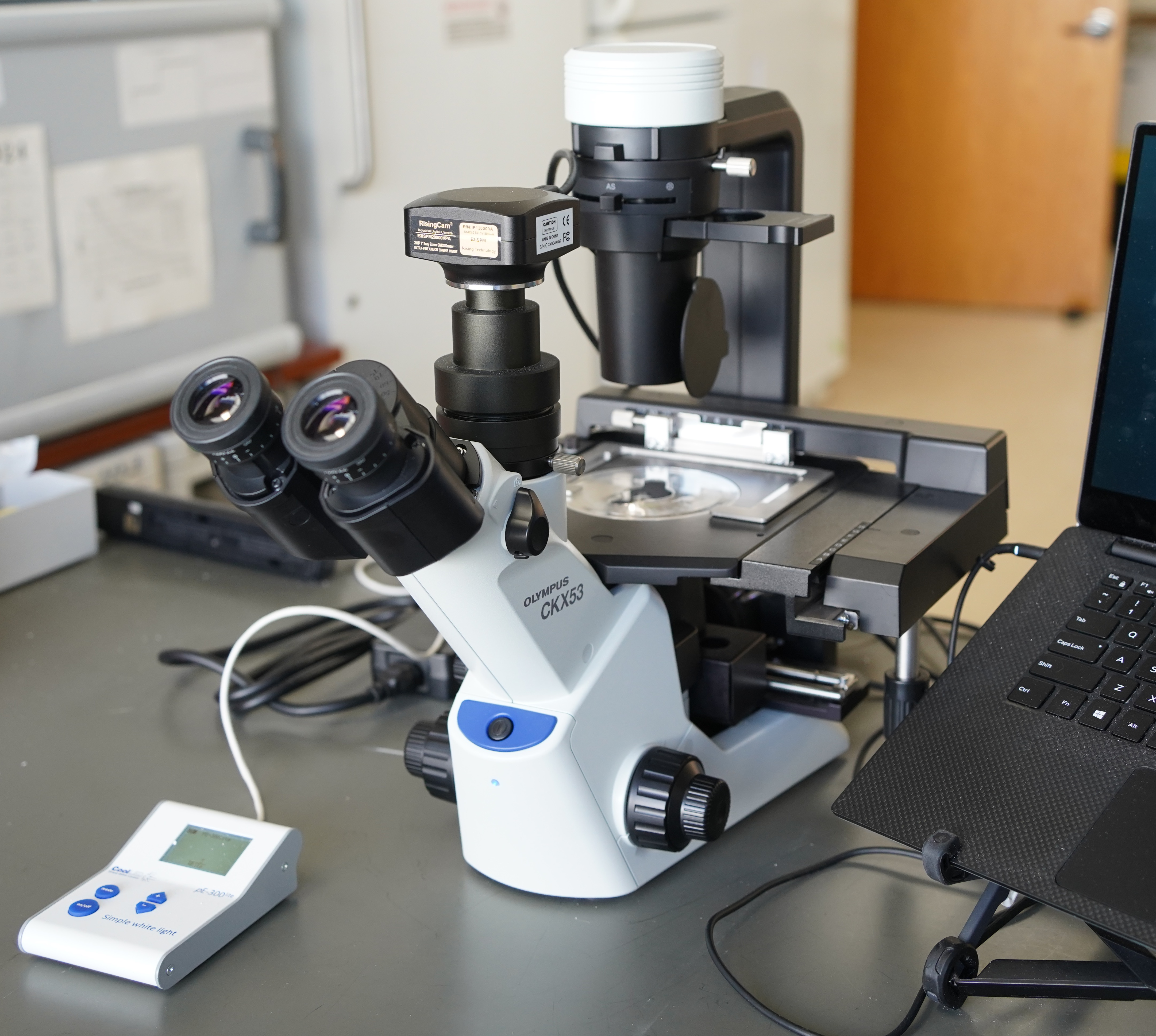 Olympus CKX53 Inverted Fluorescence Microscope System - Complete with 4 Objectives, Camera & LED Illumination