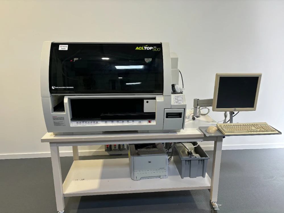 Main Image