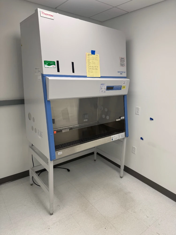 Thermo 1300 Series A2 4' BioSafety Cabinet