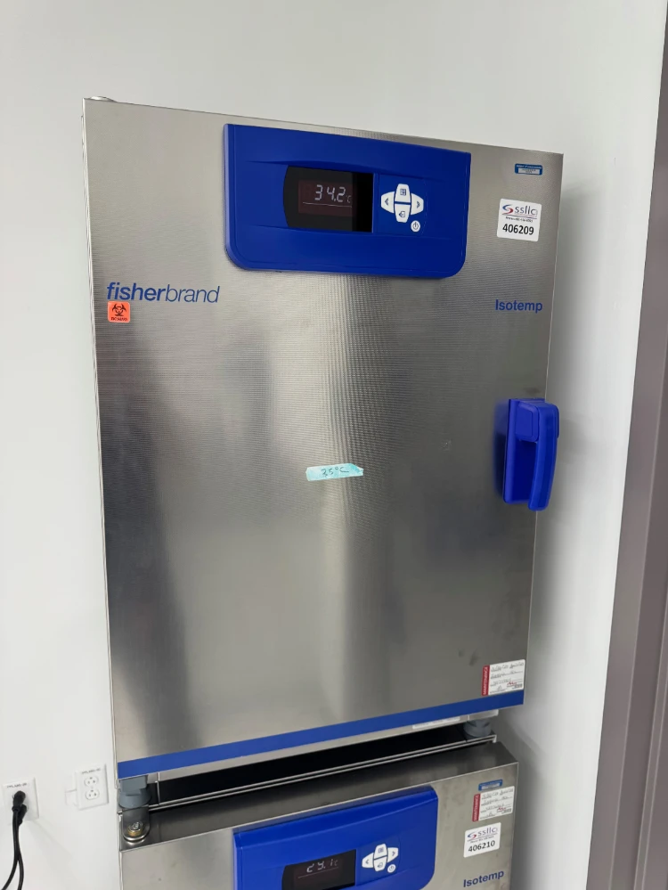 Fisherbrand Isotemp 180L Gravity Incubator