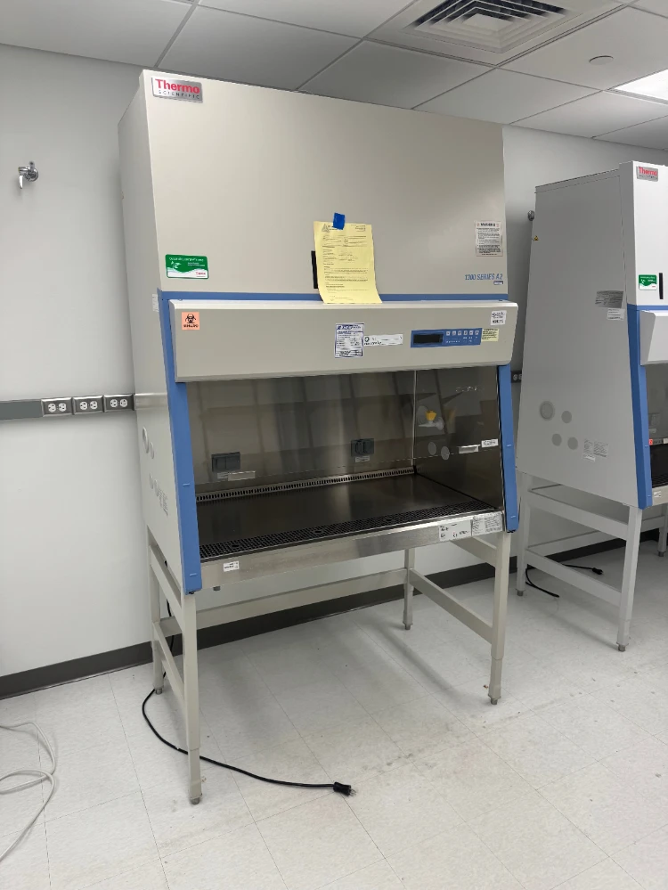 Thermo 1300 Series A2 4' BioSafety Cabinet