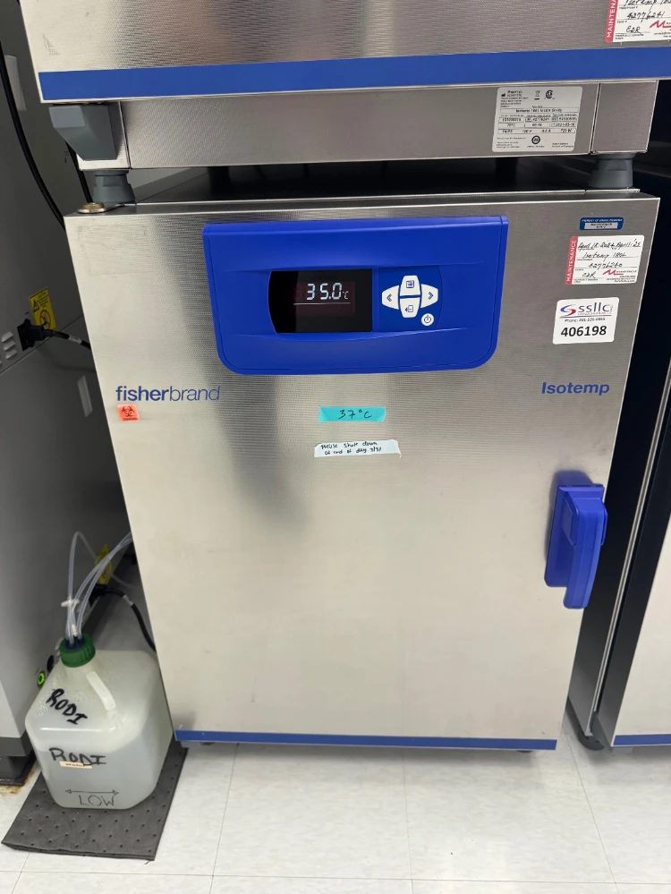 Fisherbrand Isotemp 180L Gravity Incubator