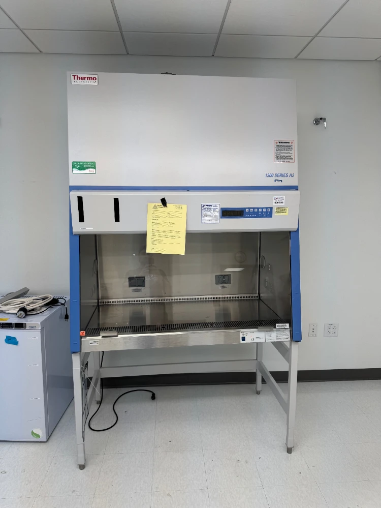 Thermo 1300 Series A2 4' BioSafety Cabinet