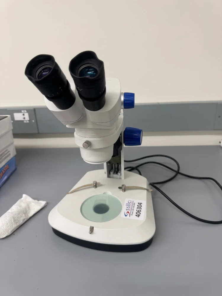 Stereo Microscope