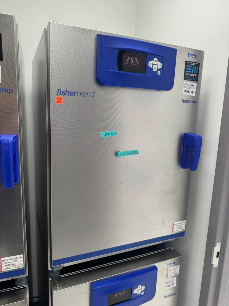 Fisherbrand Isotemp 180L Gravity Incubator