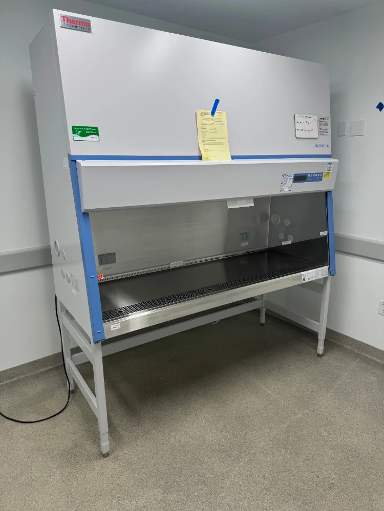 Thermo 1300 Series A2 6' BioSafety Cabinet