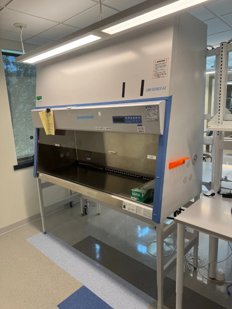 Thermo 1300 Series A2 6' BioSafety Cabinet