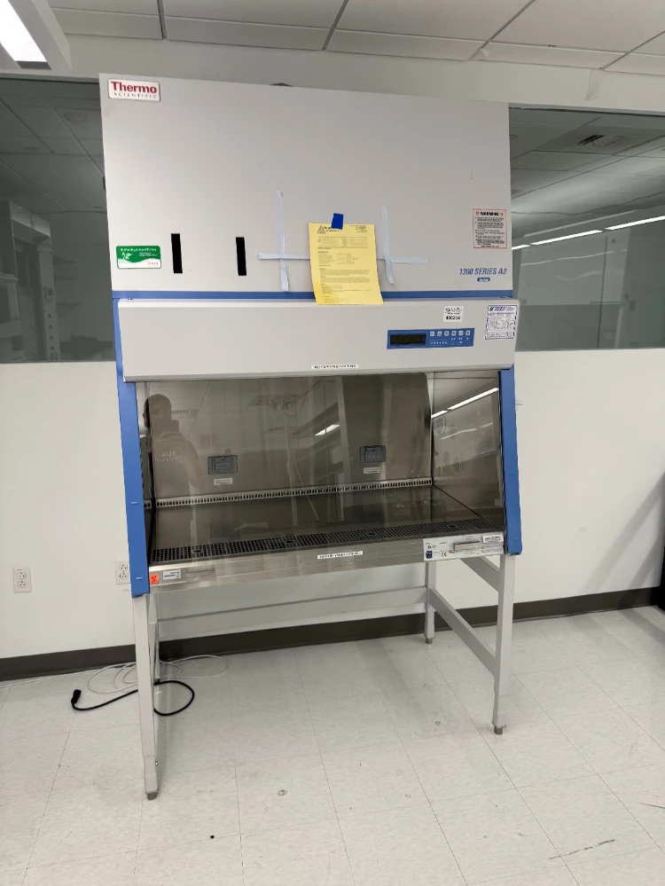 Thermo 1300 Series A2 4' BioSafety Cabinet
