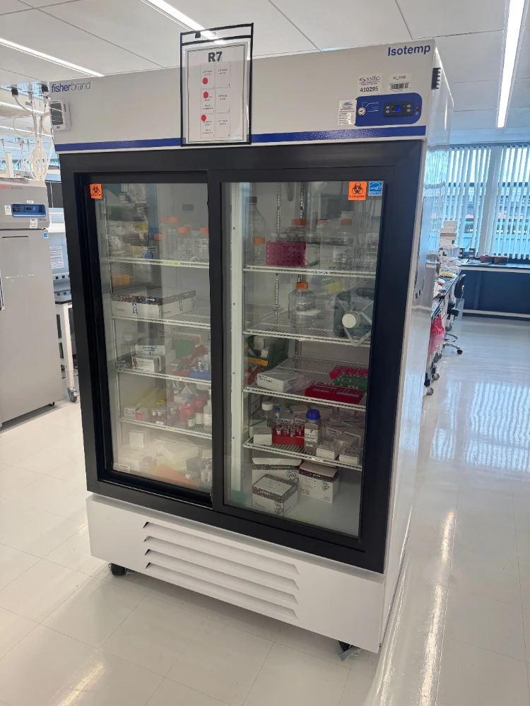 Fisherbrand Isotemp Double Door Refrigerator