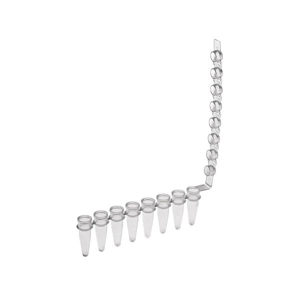 Simport Amplitube 8 Tube Strips With Domed Cap, Natural (Pk/125) T322-1N