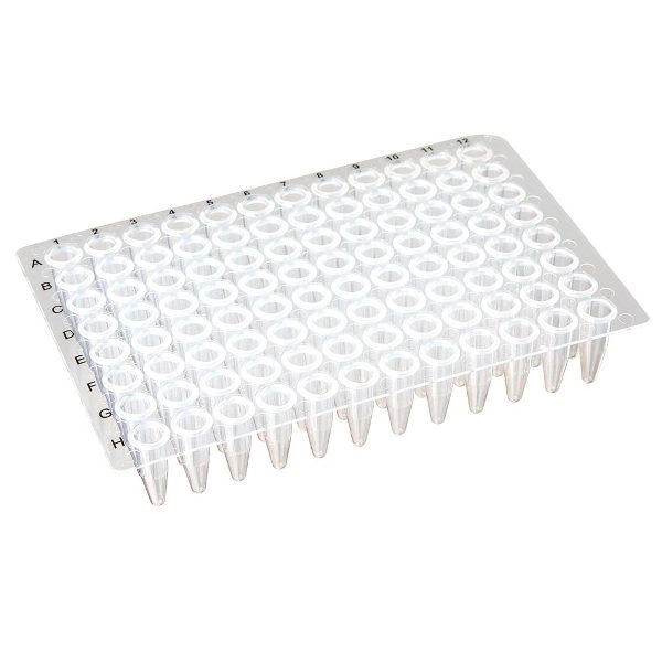 Globe Scientific 0.2mL 96-Well PCR Plate, No Skirt, Flat Top, Clear Box/10 PCR-NS-02