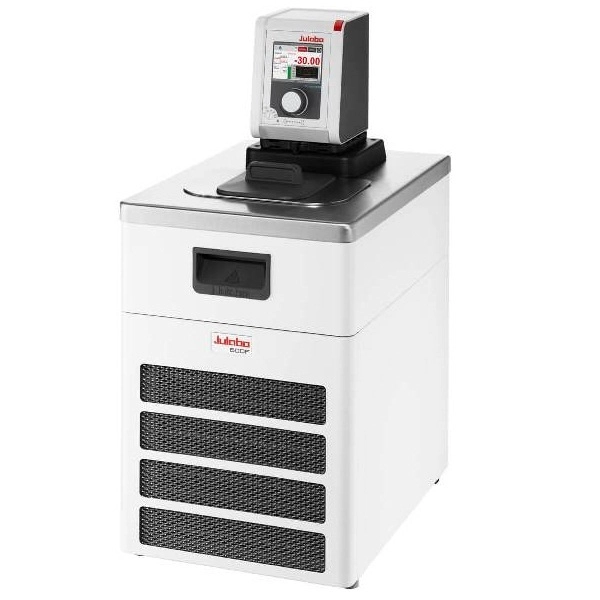 Julabo DYNEO DD-600F Analog 100V/50-60Hz 9021704-01-A