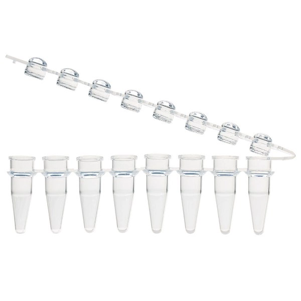 Globe Scientific 0.2mL 8-Strip with Hinged 8-Strip clear Dome caps, Natural BOX/125 PCR-STR-02D-ZIP