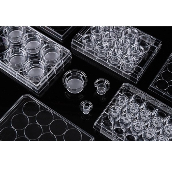 Nest 12 Cell Culture Inserts+12 Well Plate 8.0 μm, PET, Transparent TC Sterile, 12/Pk, 48/Cs 724321