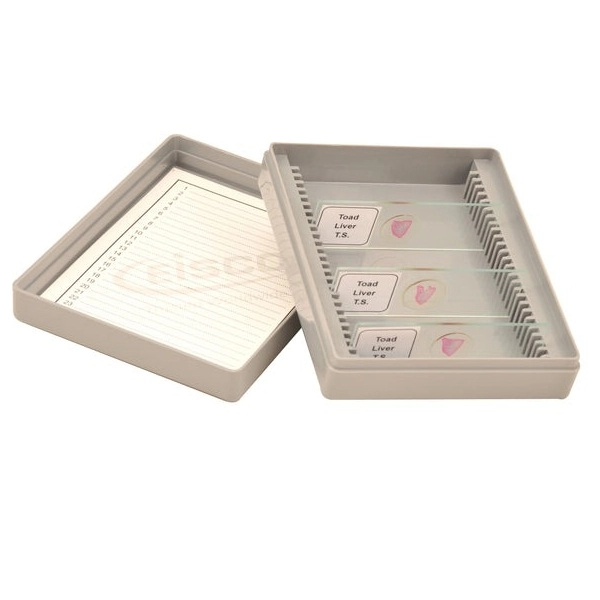 Eisco Slide Box, Polystyrene, 25 Slides BI0114B | LabX.com