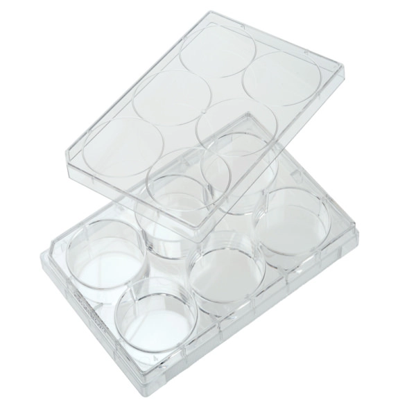 Celltreat 6 Well Tissue Culture Plate with Lid, Individual, Sterile 100/Cs 229106