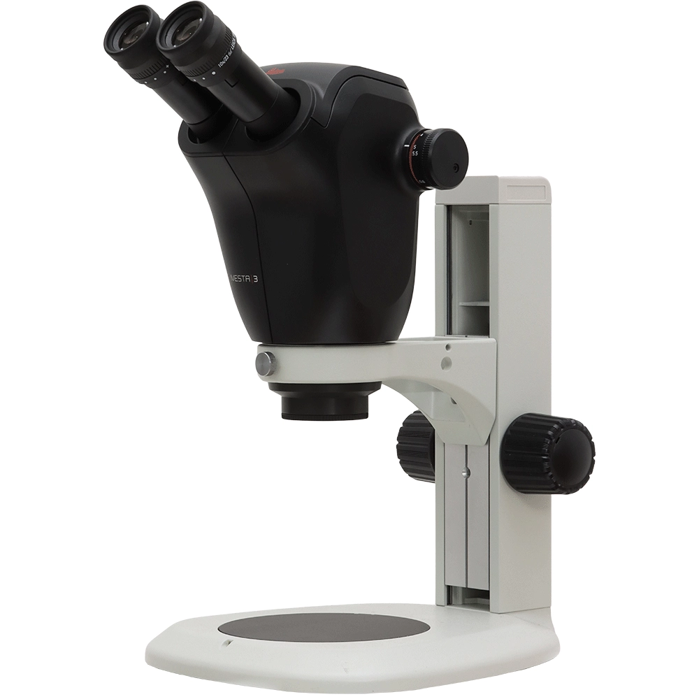 Leica IVESTA 3 Stereo Microscope on Table Stand