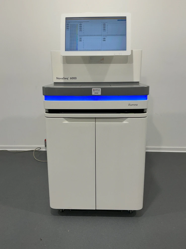 Illumina NovaSeq 6000 Sequencing Analysis