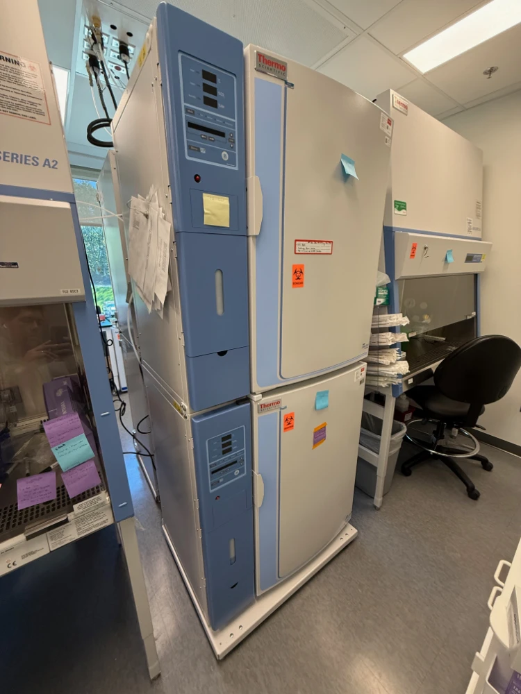 Thermo Scientific Dual Stack CO Incubators Model Series 370 | LabX.com