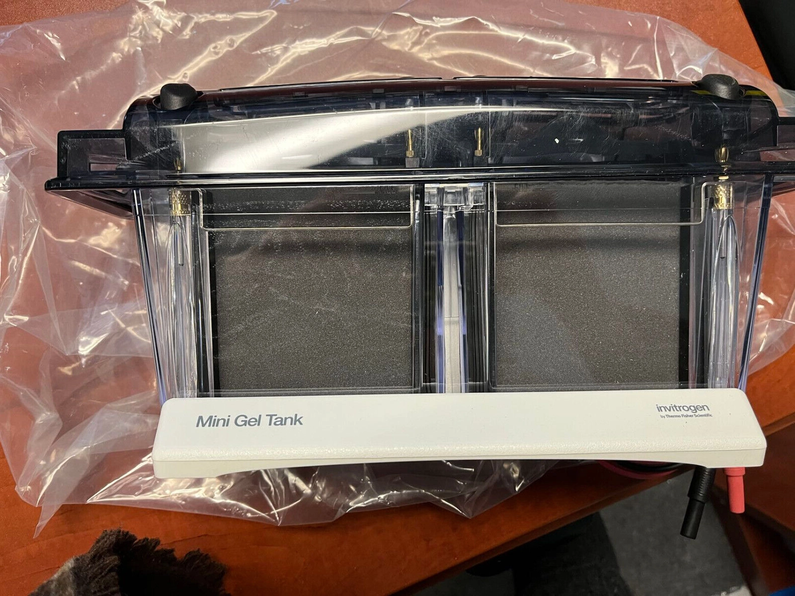 INVITROGEN / LIFE TECHNOLOGIES A25977 MINI GEL TAN