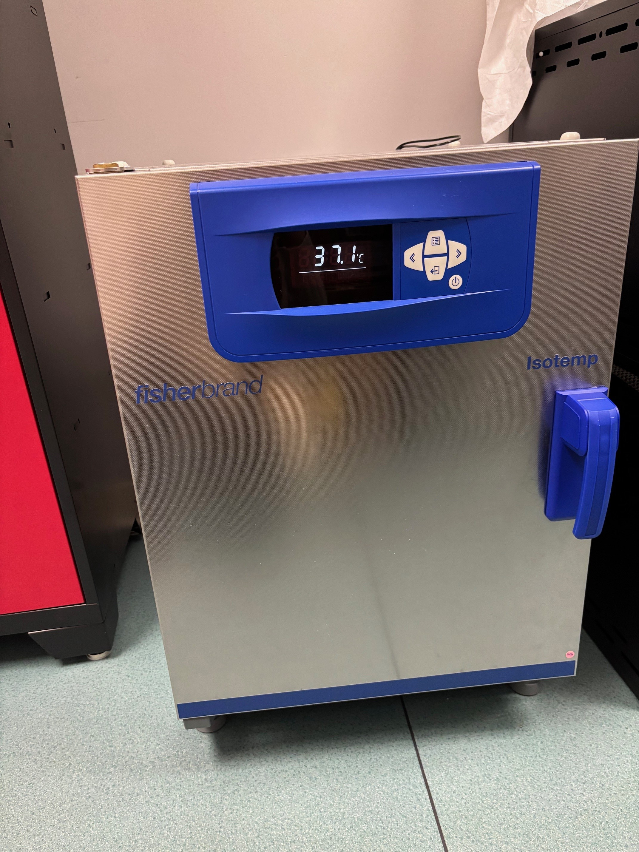 Fisherbrand™ Isotemp™ 60 L Gravity Incubator