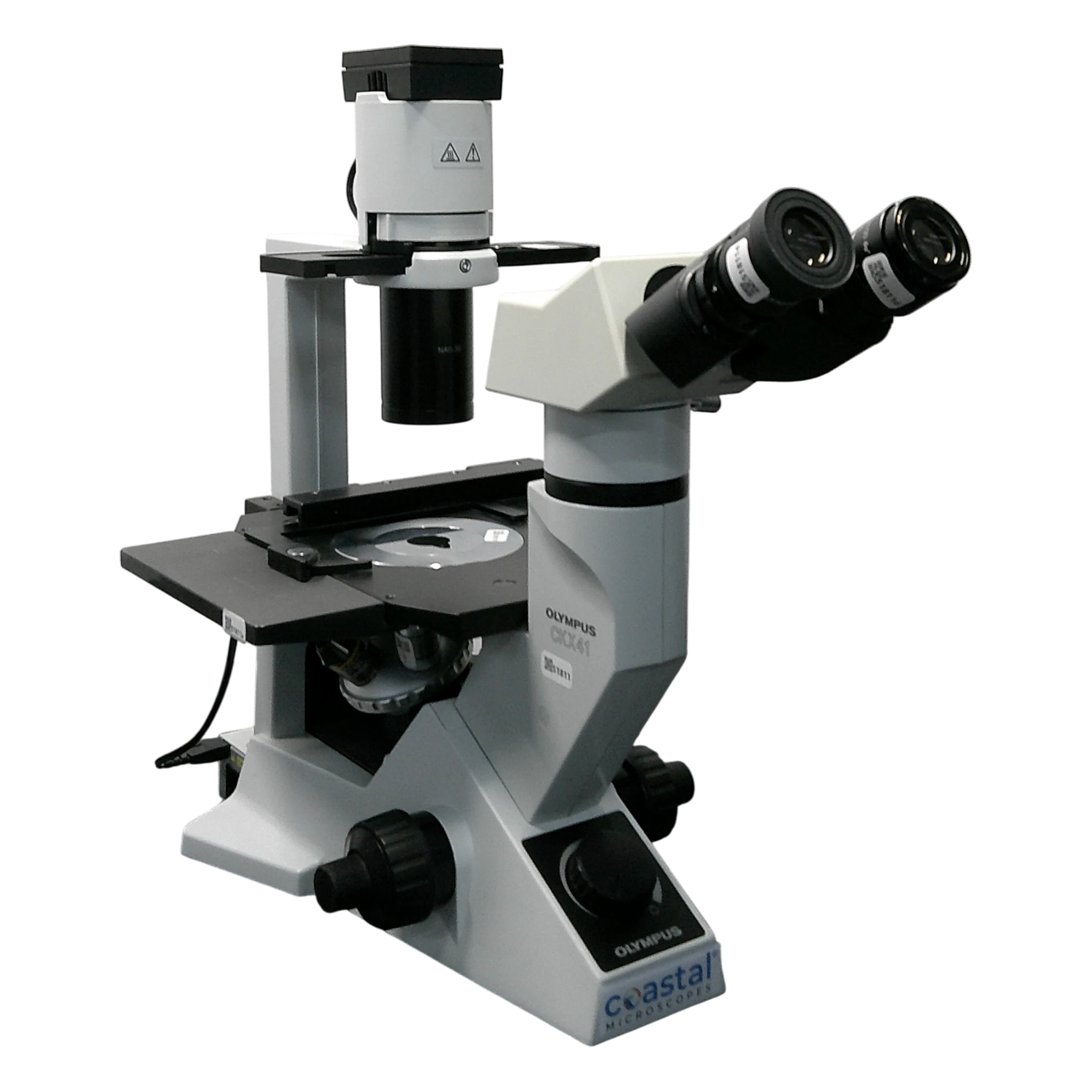 Olympus CKX41 Inverted Binocular Phase Contrast Microscope
