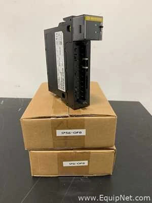 Lot 281 Listing# 1080629 One Lot of Two Allen Bradley 1756-OF8 Control Logix Analog Output Modules