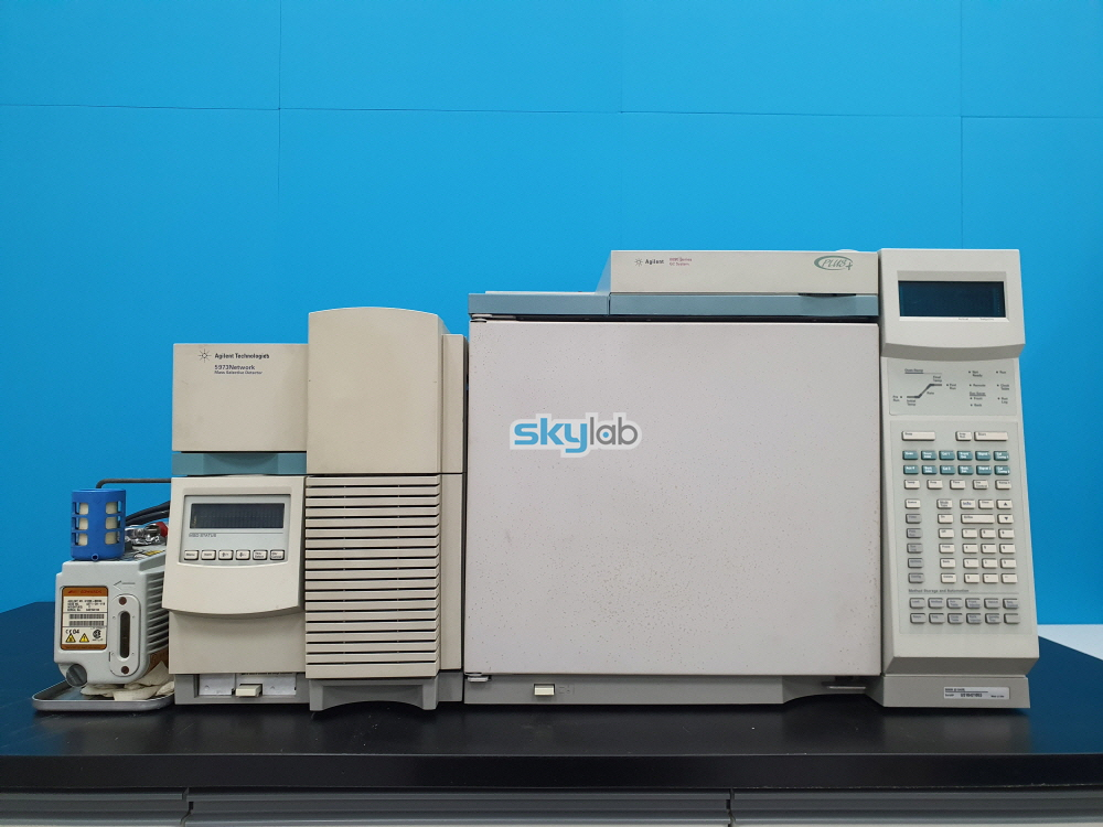 Agilent GC/MS 5973N/ 6890N