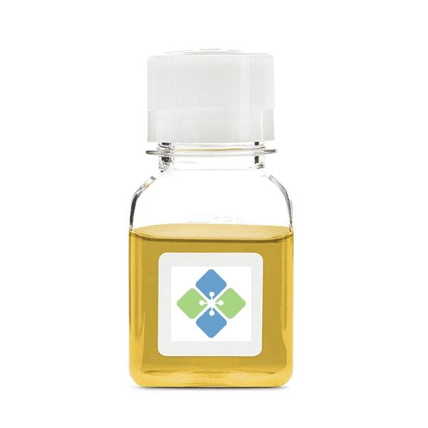 Molecular Depot Donkey anti-Rabbit IgG Heavy and Light Chain Antiserum B2014912