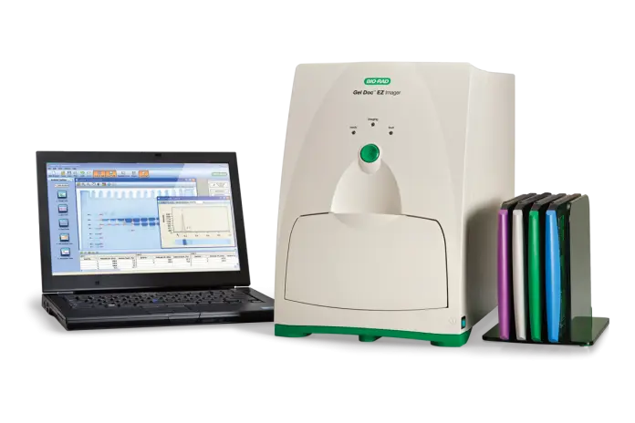 Bio-Rad Gel Doc EZ Gel Documentation System