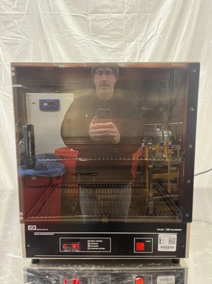 Quincy Lab inc 12-140E Digital Incubator