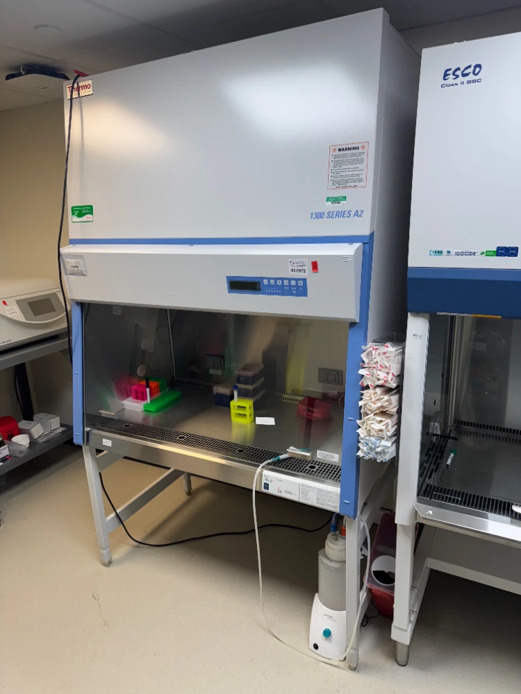 Thermo 1300 Series A2 4' BioSafety Cabinet