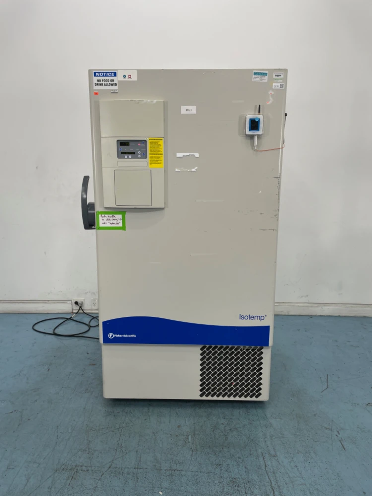 Fisher Scientific Isotemp Ultra Low -80 Freezer