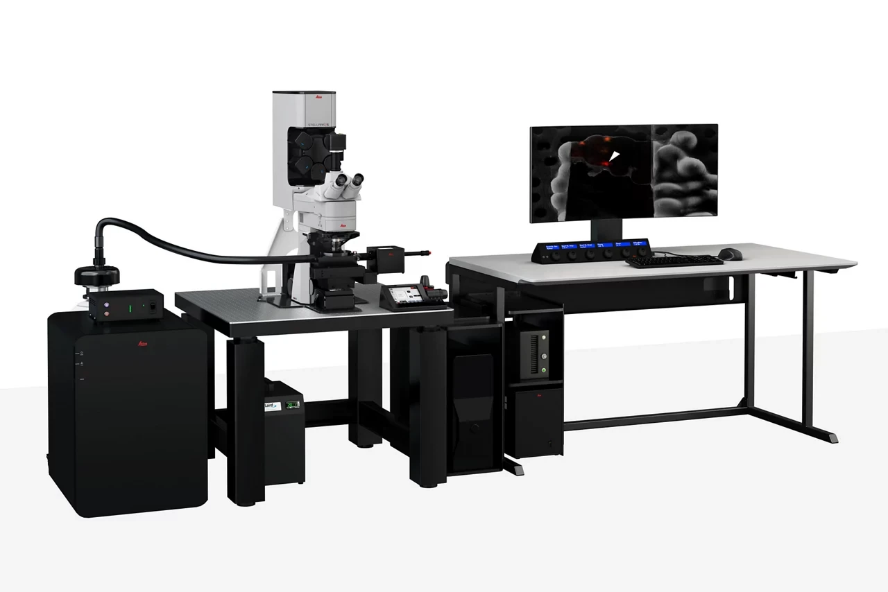 STELLARIS 5 Cryo Confocal Light Microscopes