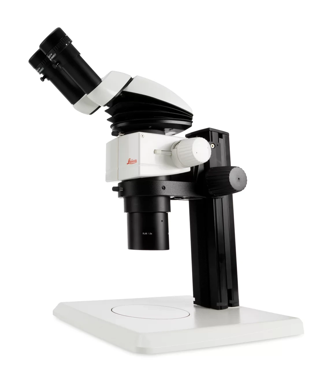 M80 Routine Stereo Microscopes
